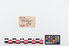 Etikett zu Bronzekahnfibel (NHMW-PRAE-024314)